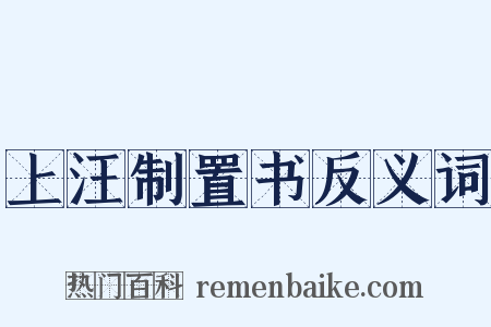 上汪制置书反义词是什么意思的图片